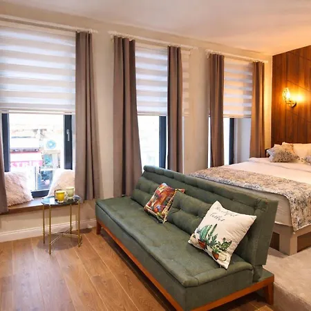 Excellent Galata Apartment