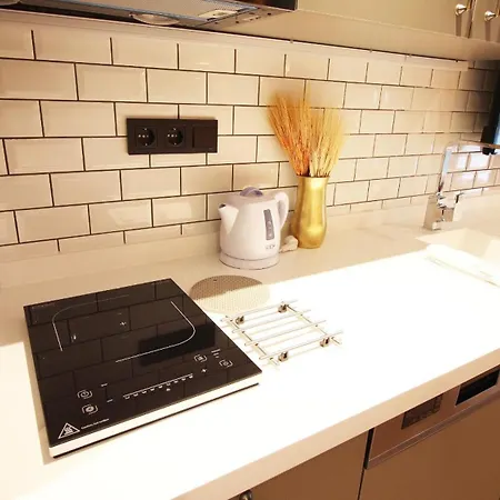 Excellent Galata Apartment