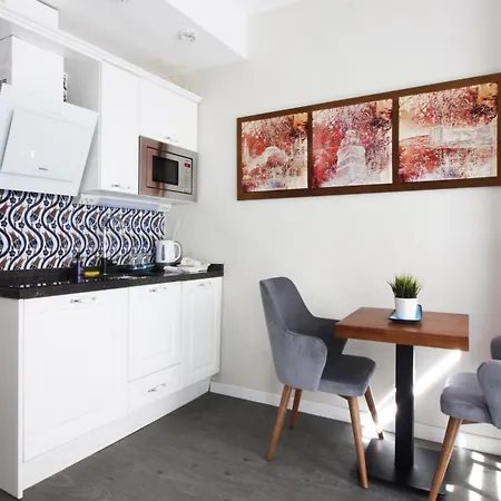 Excellent Galata Appartement Istanboel